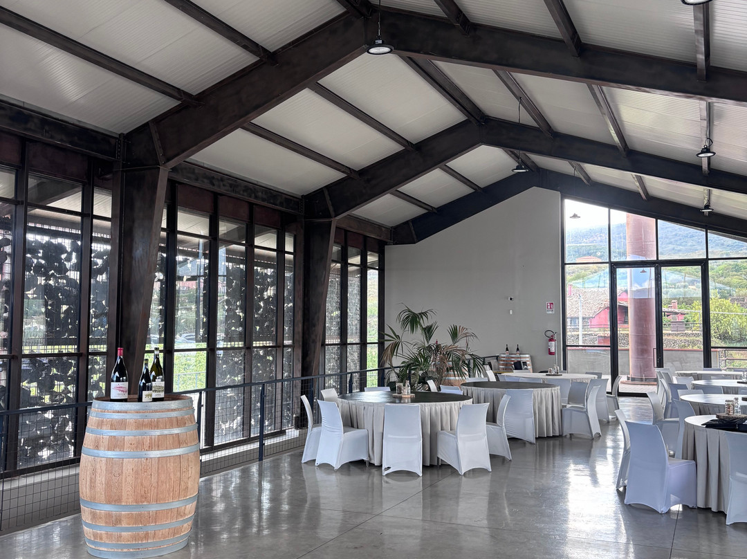 Wine tasting at I Custodi delle Vigne dell'Etna-Solicchiata必去景点