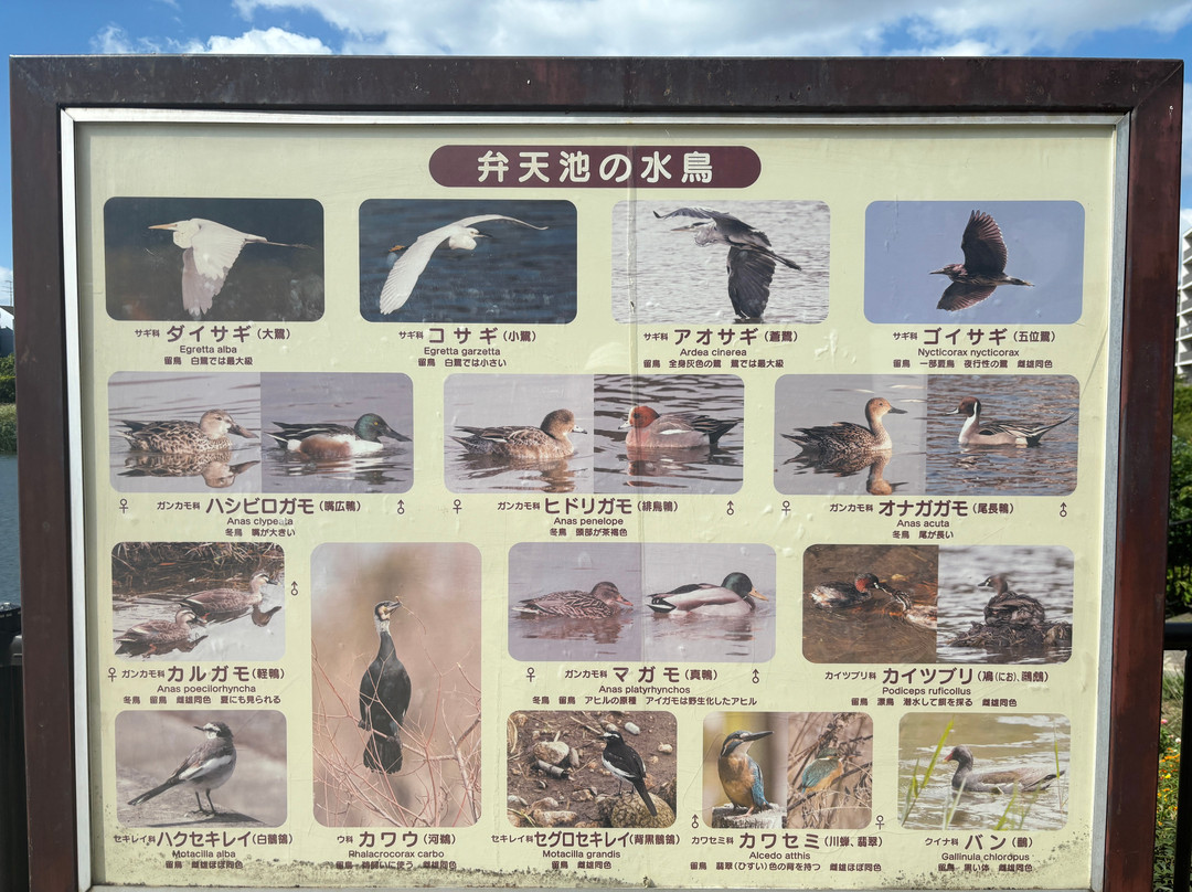 Benten Ike Park-宝冢市必去景点