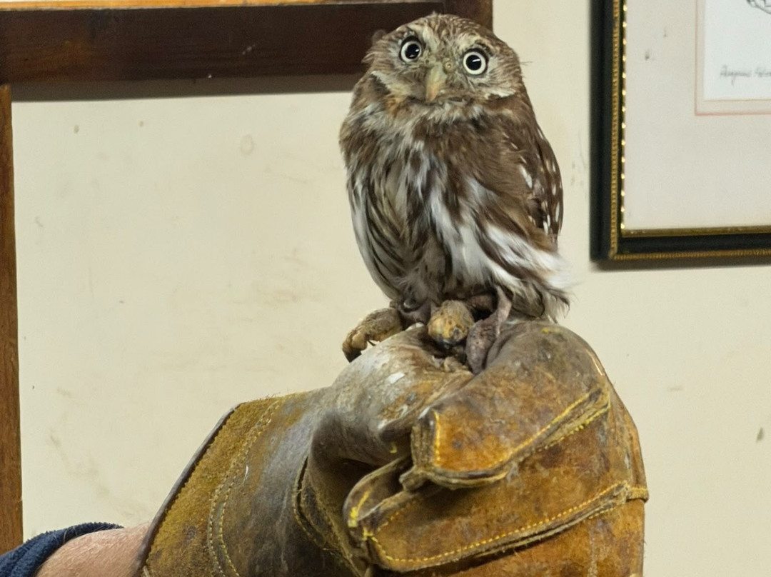 Riverside Falconry-纽卡斯尔必去景点
