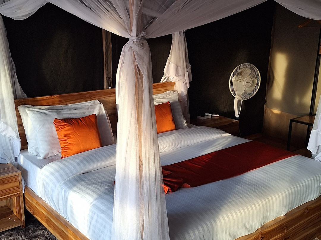 Mbuni Tented Camps-Seronera必去景点