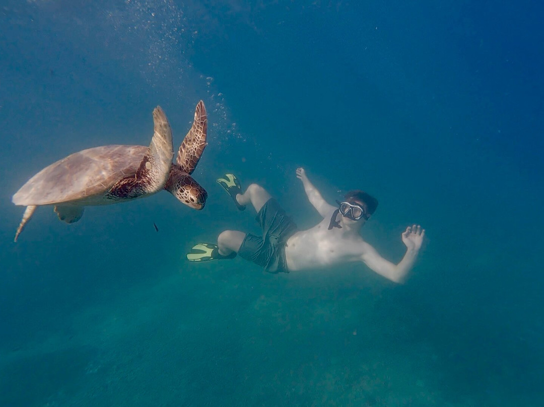 Jhony Gili & Lombok Tours-Gili Air必去景点
