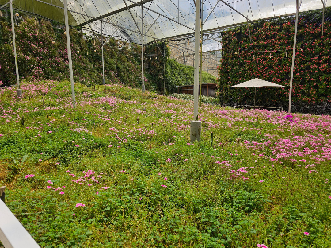 Cameron Highlands Flora Park