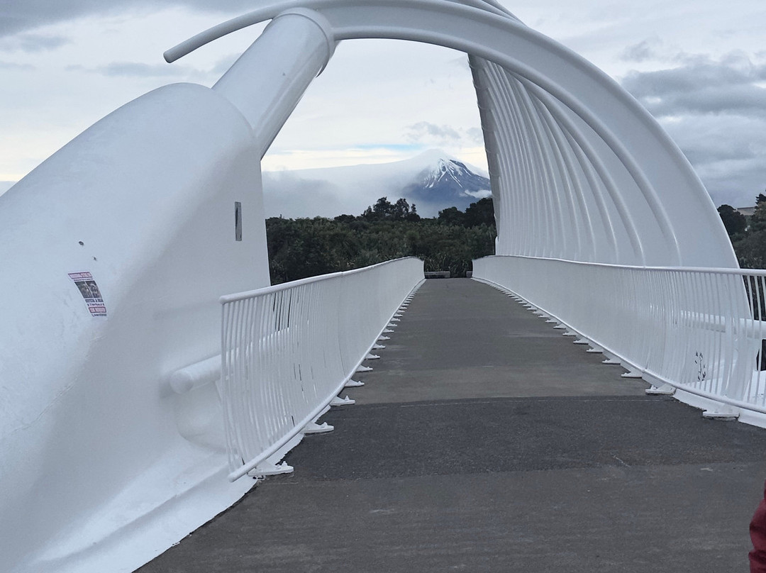 Te Rewa Rewa Bridge-新普利默斯必去景点