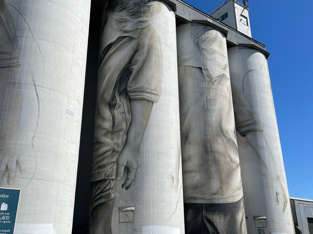 Coonalpyn Silos-Coonalpyn必去景点