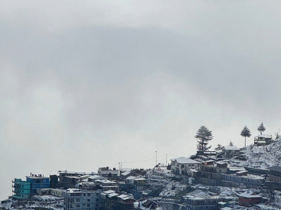 Himalayas Griffon-阿姆利则必去景点