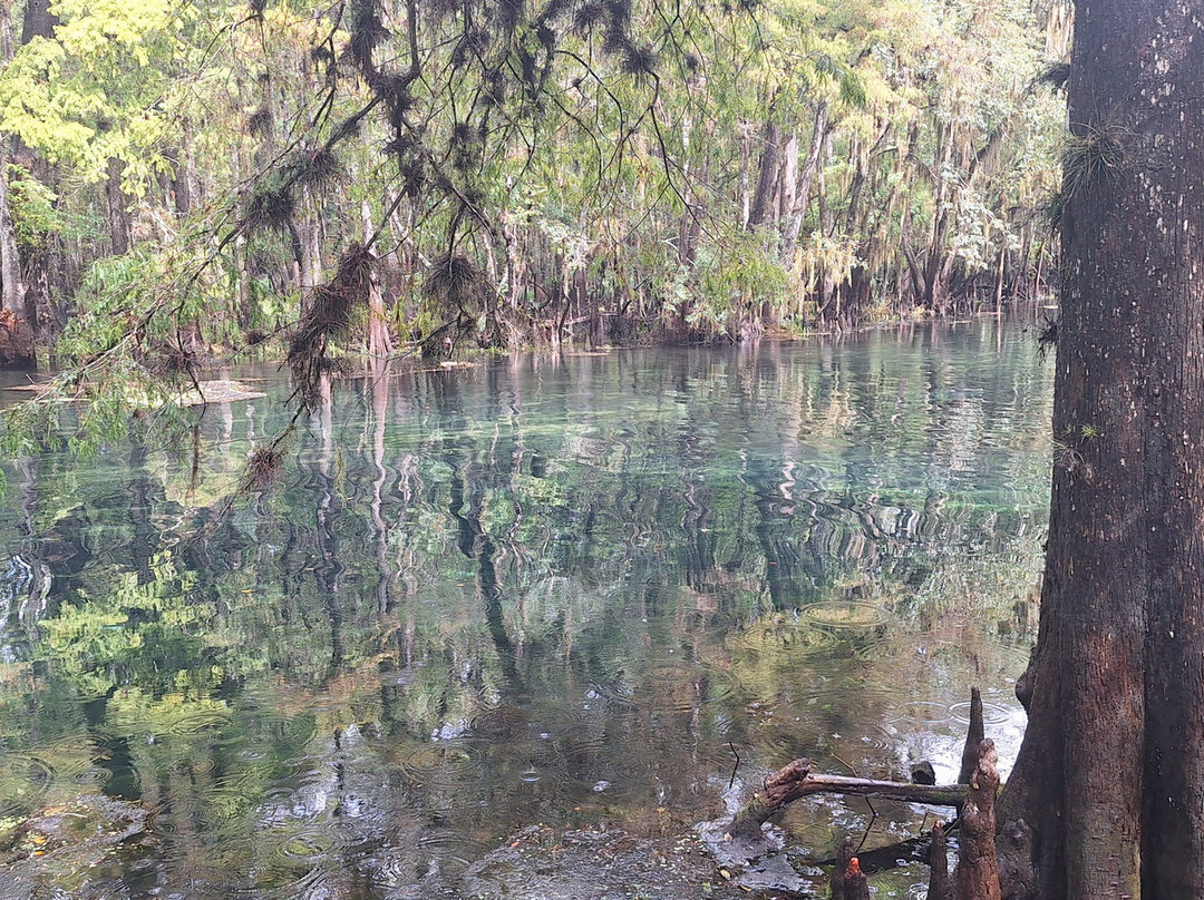 Manatee Springs State Park-Chiefland必去景点
