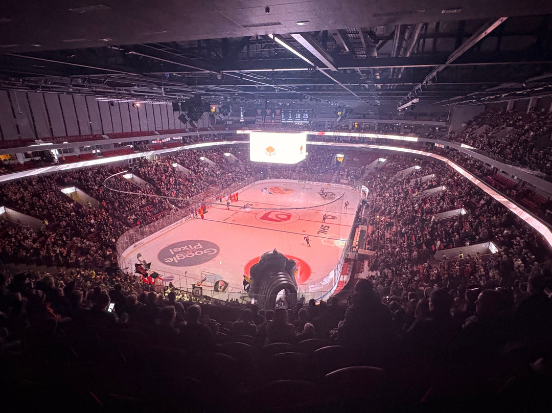 Malmo Arena-马尔默必去景点