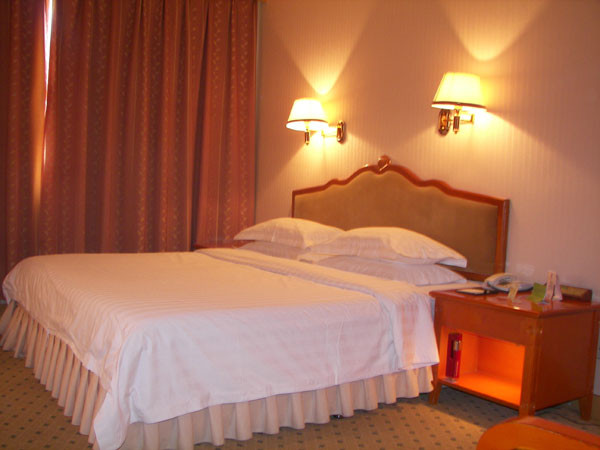 银星大酒店主图