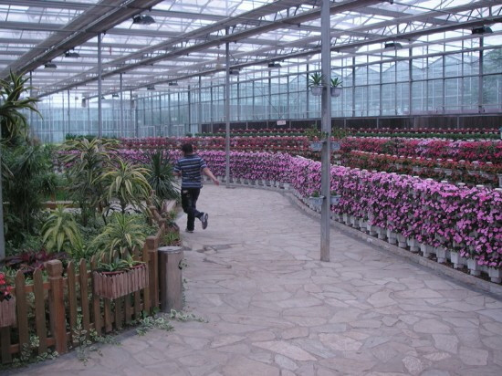 文安县旅游景点-天津杨柳青园艺科技博览园