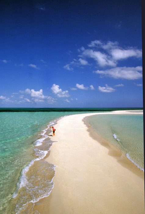 Rickmon Bonefish Lodge-浴室