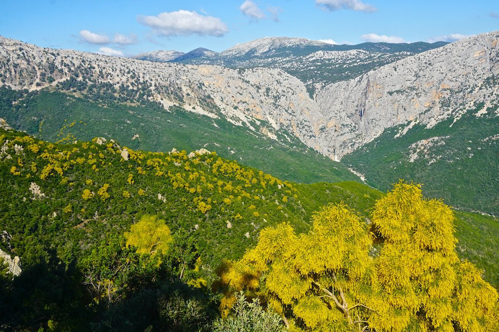 Desulo旅游景点-Gennargentu