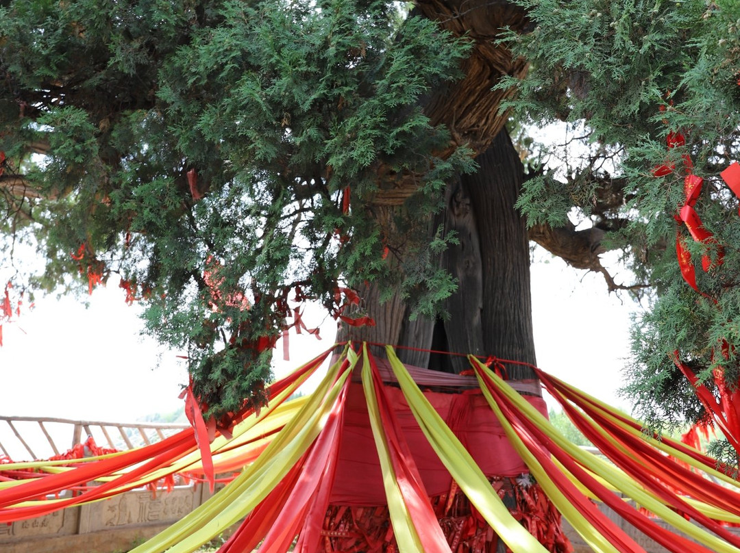 大禹渡-芮城县必去景点