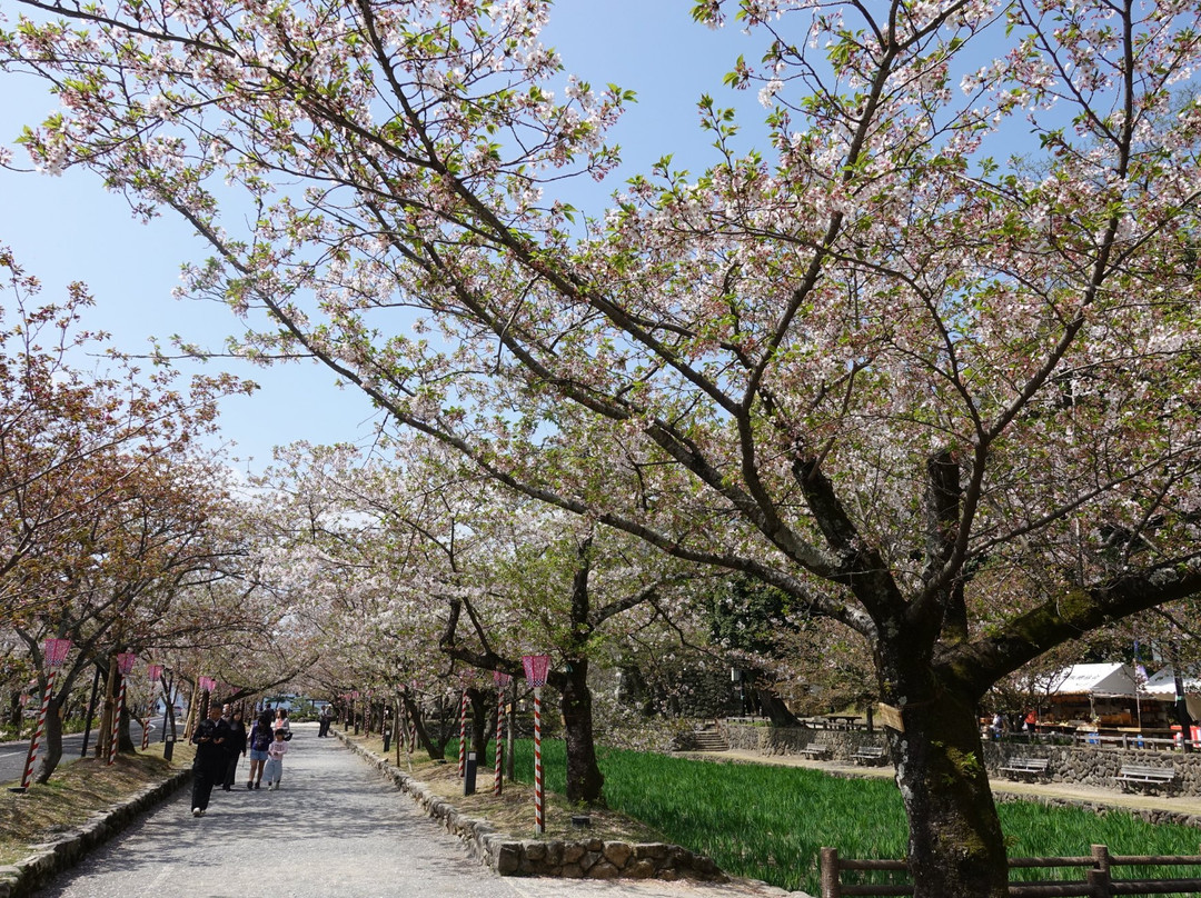 Omura Park景点图片