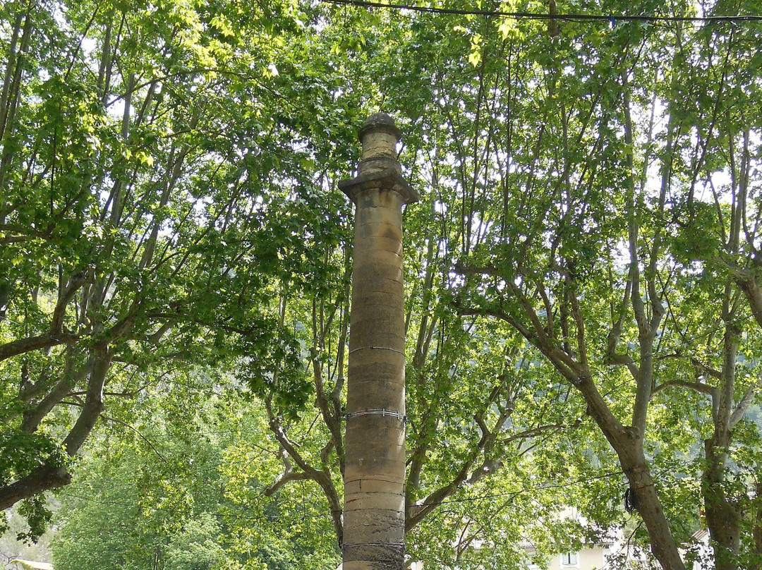 La Colonne De Pétrarque景点图片