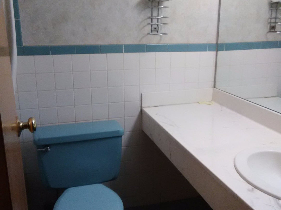 Wayne Motor Inn