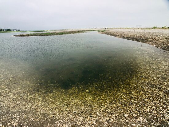 The Coastal Center at Milford Point-米尔福德必去景点