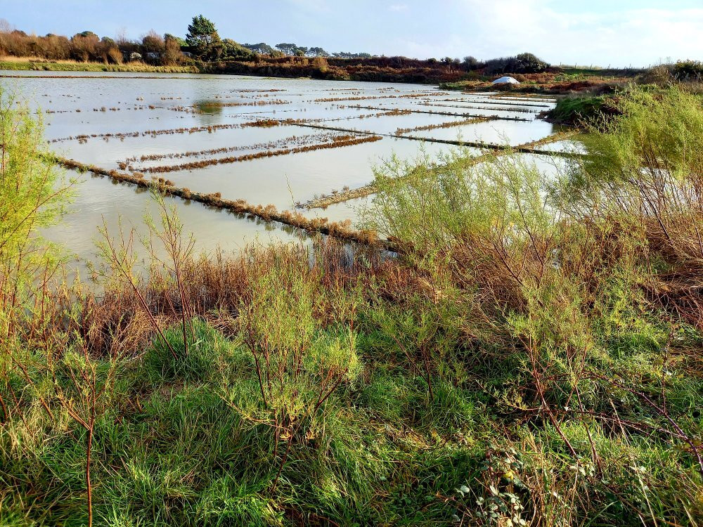 Marais Salants de Kervillen-La Trinite-sur-Mer必去景点