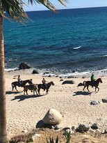 Baja's Awesome Beach Rides-Los Barriles必去景点