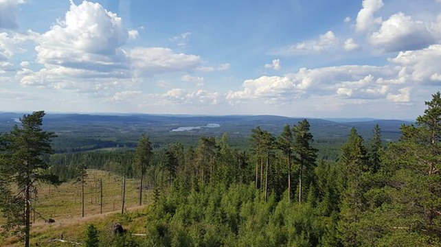 Flens Utsiktstorn-Nas必去景点