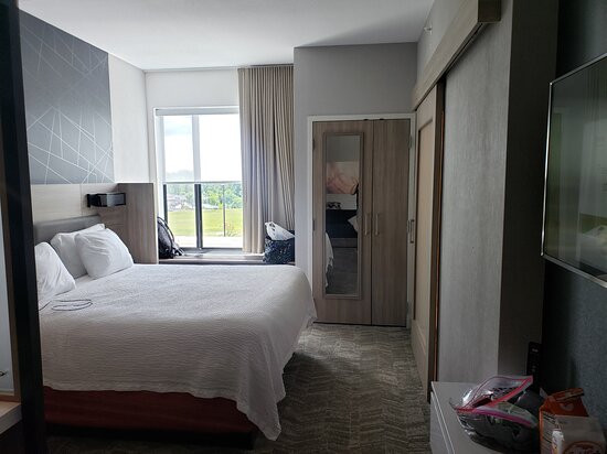 SpringHill Suites Baltimore White Marsh/Middle River主图