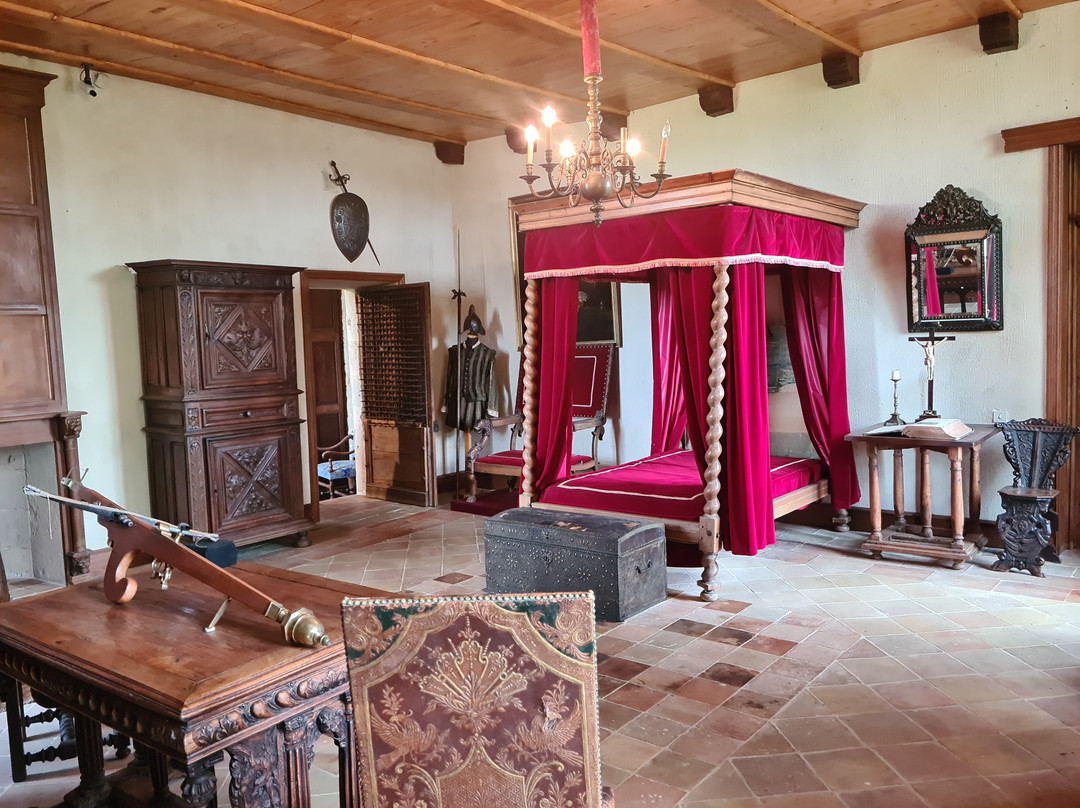 Château de Saint Projet景点图片