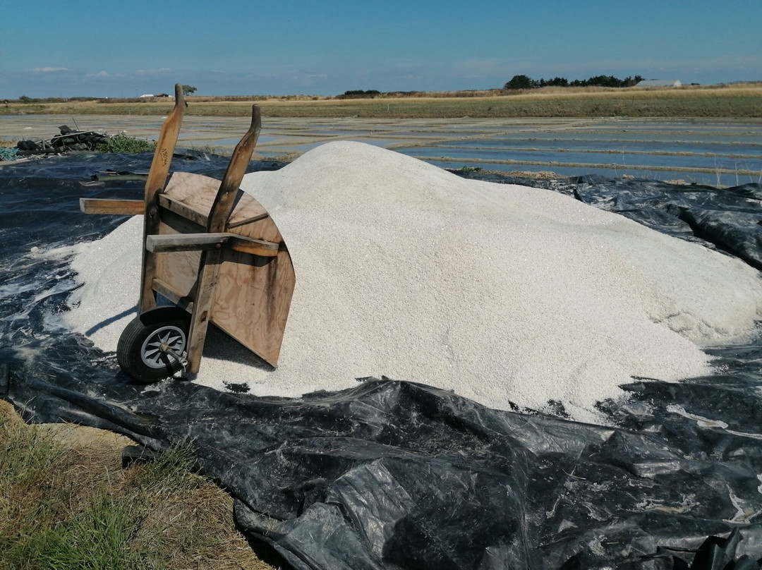 Marais Salants de Bonne Pogne景点图片