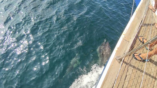 Velero Intrepido-埃斯特波纳必去景点