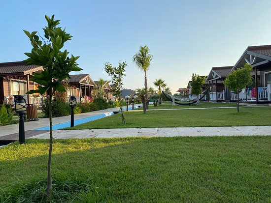 Sedir Park Bungalow Hotel主图
