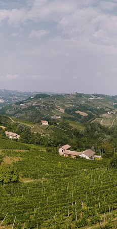 Tojo Winery景点图片