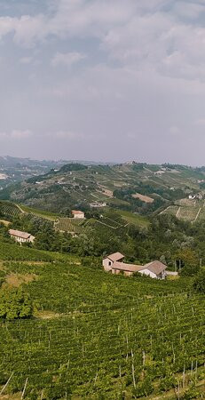 Tojo Winery景点图片