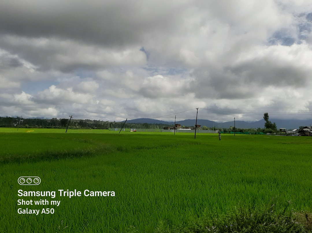 Bungus Valley-Kupwara必去景点
