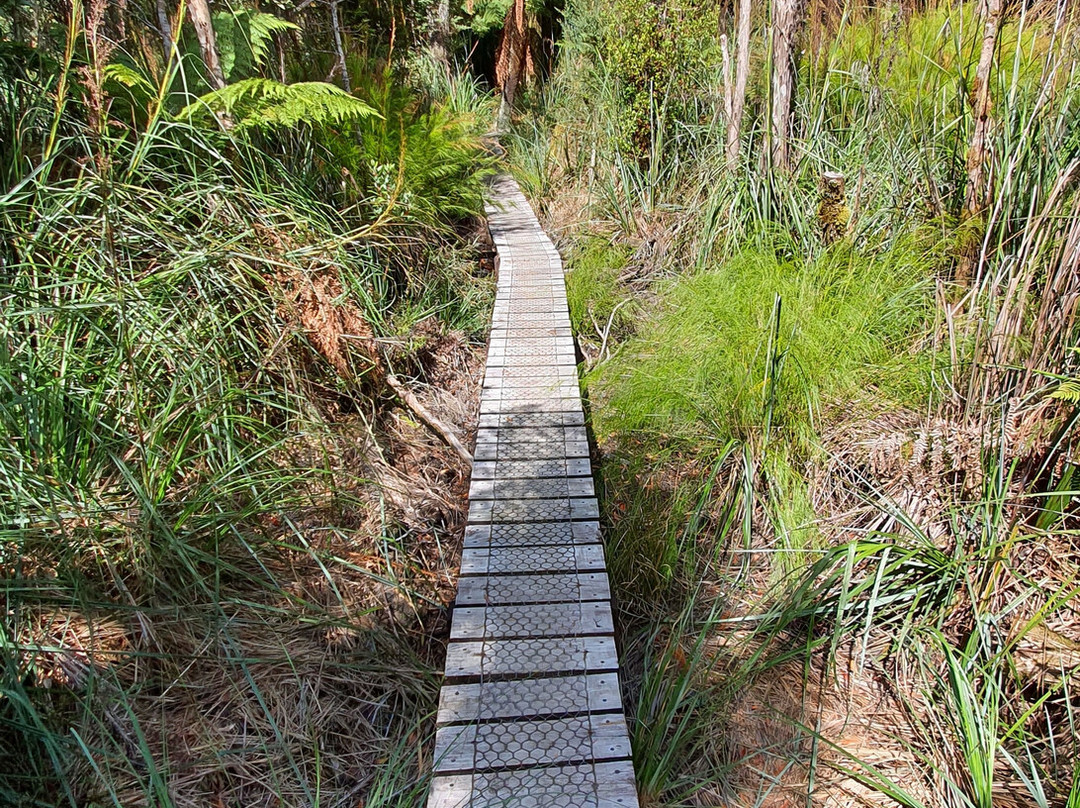 Pioneer Publicans Grave-Corinna必去景点