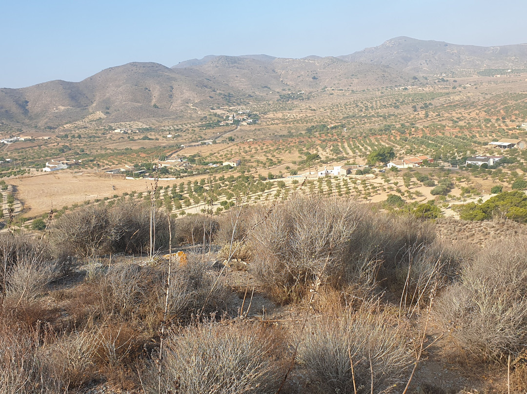 Cabezo de Los Pérez