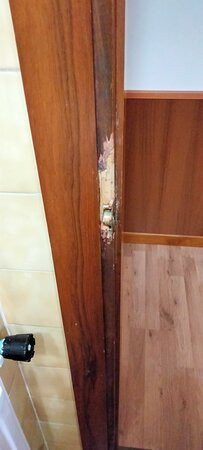 论坛宫酒店主图
