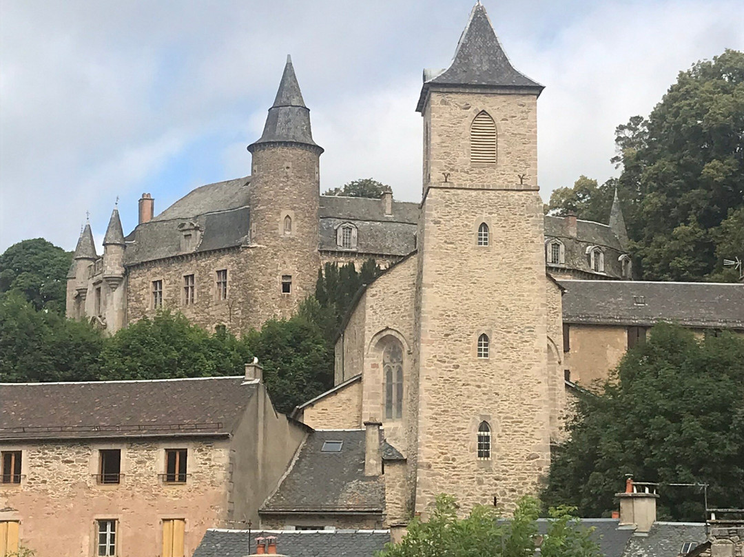 Château de Vézins景点图片