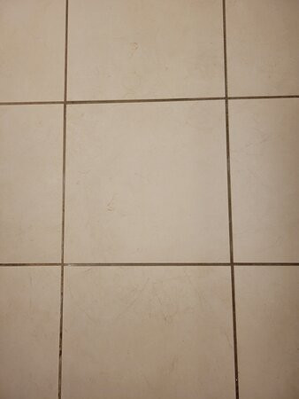 Doubletree By Hilton Chicago Wood Dale - Elk Grove主图