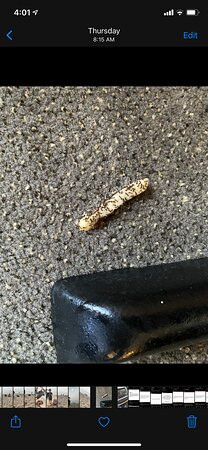 巴里速8酒店主图