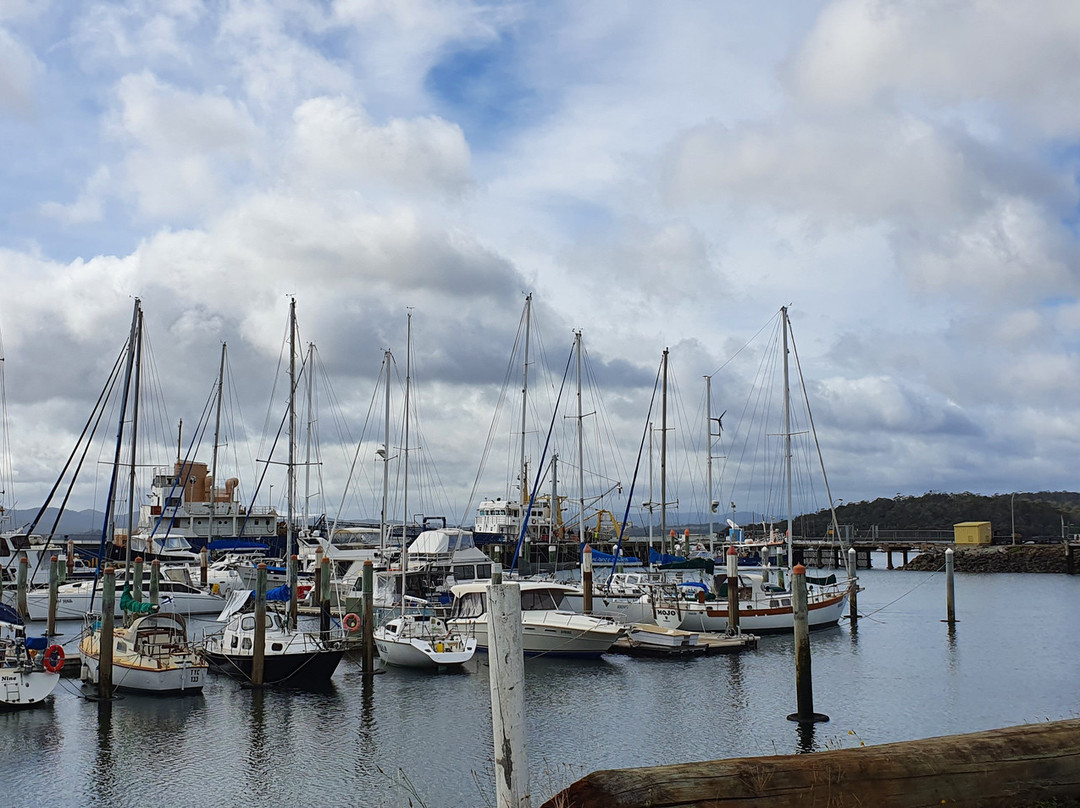 Tamar Yacht Club Marina景点图片