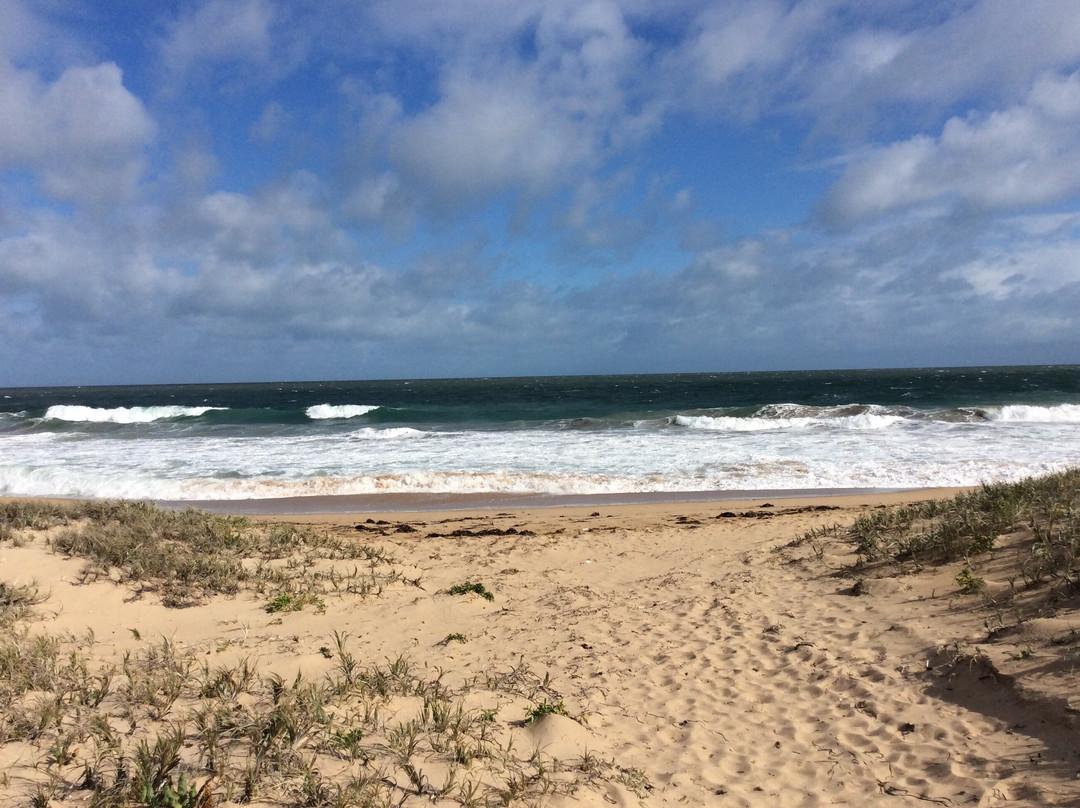 Singleton Foreshore & Beach景点图片