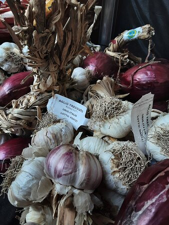 Mercato di Civitavecchia-奇维塔韦基亚必去景点