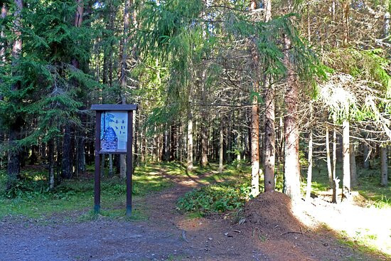 National Park Shhuchye Lake-Komarovo必去景点