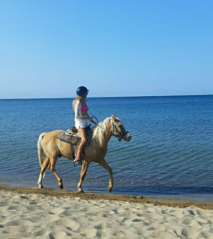 Hefaistos Estate-Paralia Thanous必去景点