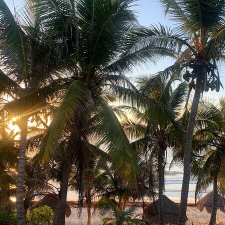 Olas Tulum-浴室