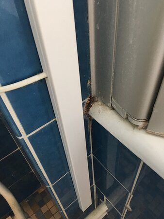 Signature Hotel Drei Kronen Elmshorn主图