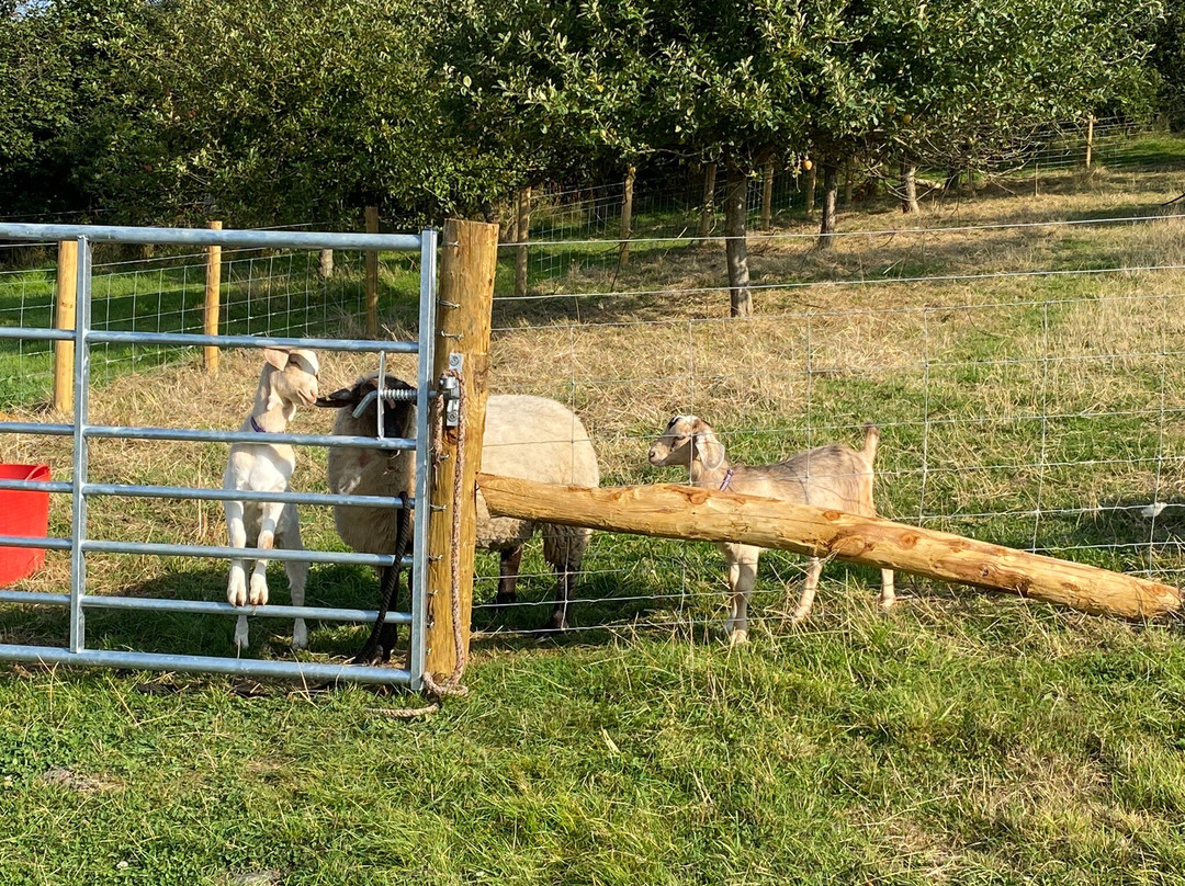 North Nethercleave Holiday Cottages