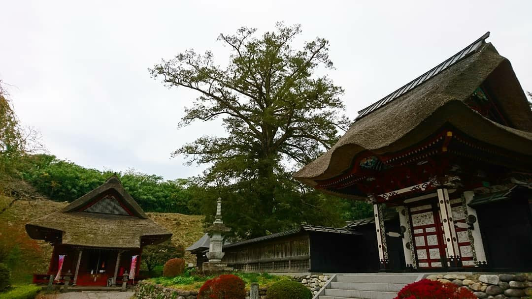 Ioji Temple景点图片