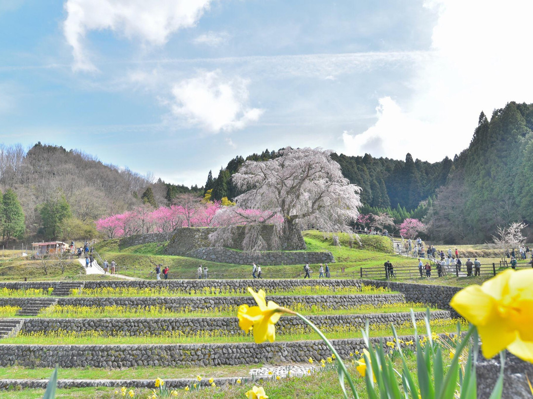 宇陀市旅游攻略图片
