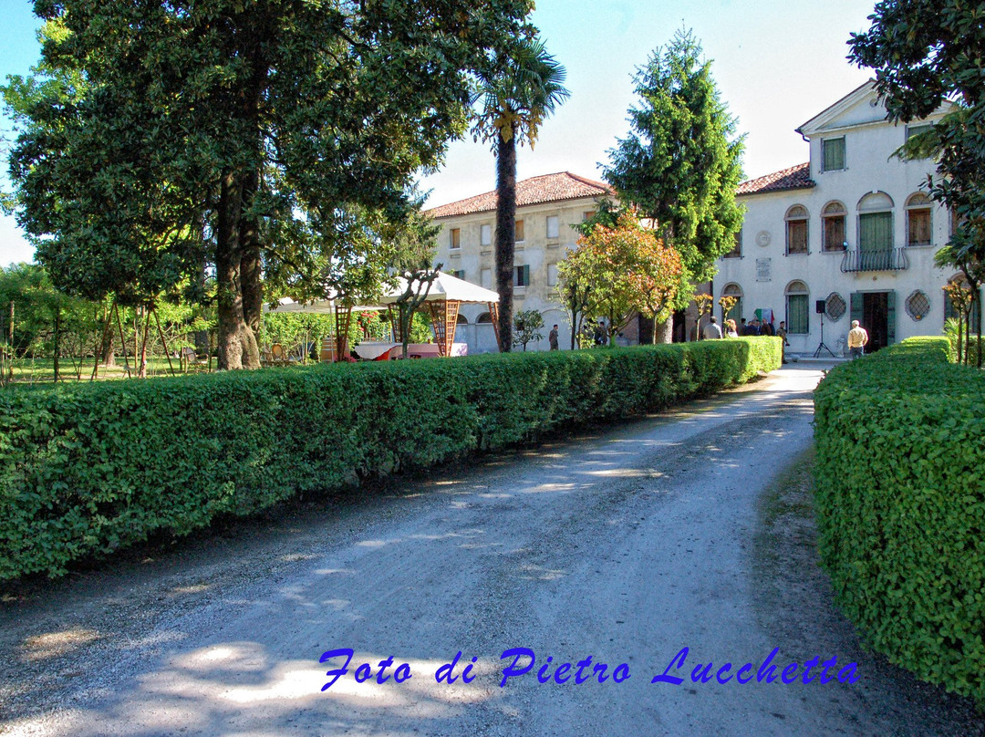Villa Canthus , Palazzo Bortolozzi-Marini景点图片