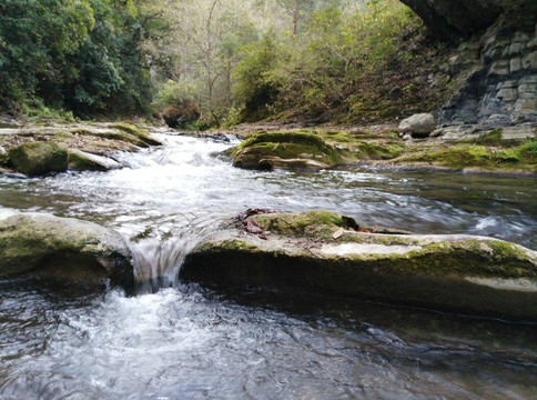 Escanelilla旅游攻略图片