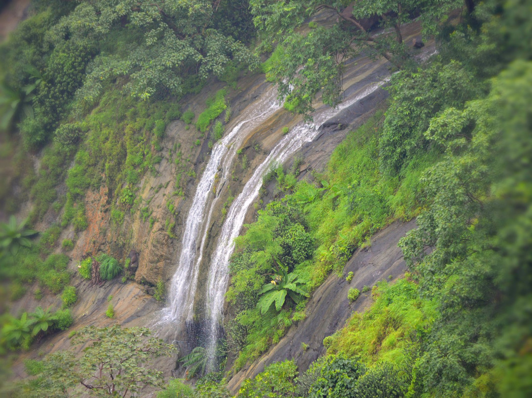 Gautala Autramghat Sanctuary景点图片